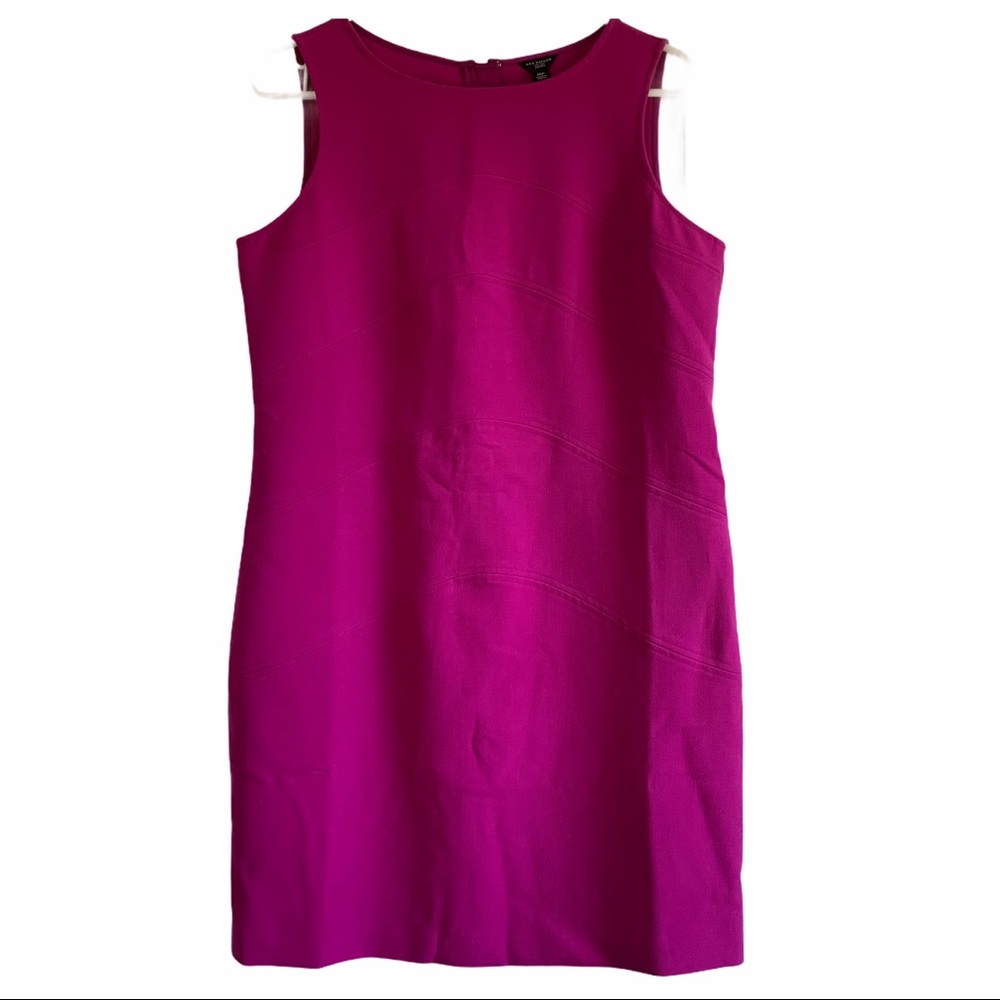 Ann Taylor Dress Size 10P Fuschia